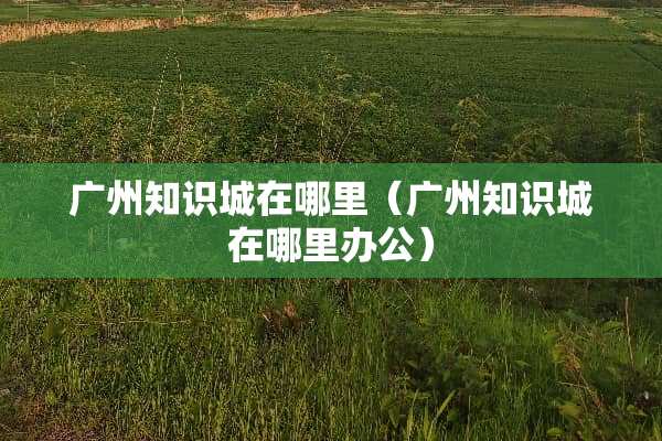 广州知识城在哪里（广州知识城在哪里办公）