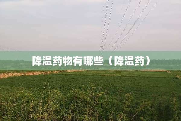 降温药物有哪些（降温药）