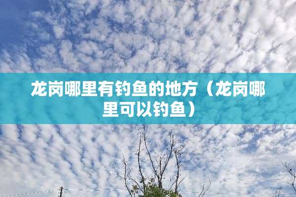 龙岗哪里有钓鱼的地方（龙岗哪里可以钓鱼）