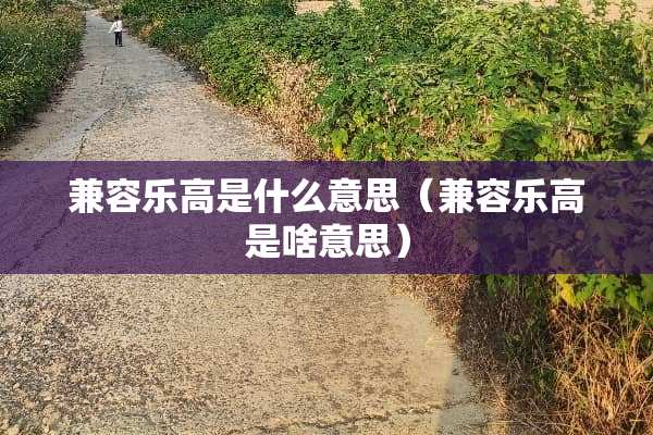 兼容乐高是什么意思（兼容乐高是啥意思）