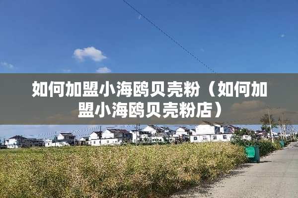 如何加盟小海鸥贝壳粉（如何加盟小海鸥贝壳粉店）