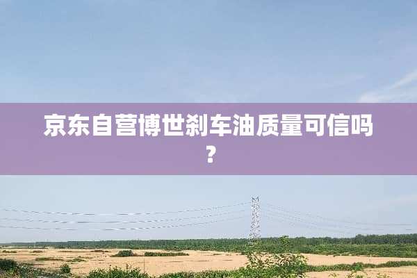 京东自营博世刹车油质量可信吗？
