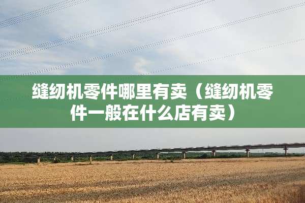 缝纫机零件哪里有卖（缝纫机零件一般在什么店有卖）