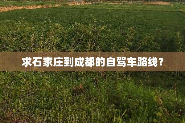 求石家庄到成都的自驾车路线？