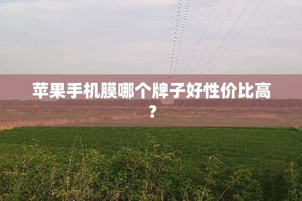 苹果手机膜哪个牌子好性价比高？