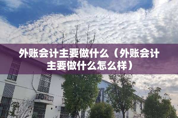 外账会计主要做什么（外账会计主要做什么怎么样）