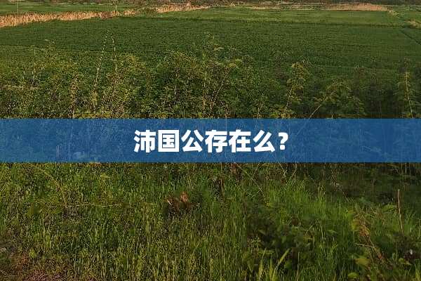 沛国公存在么？