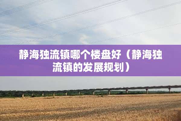 静海独流镇哪个楼盘好（静海独流镇的发展规划）