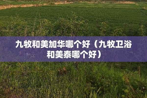 九牧和美加华哪个好（九牧卫浴和美泰哪个好）