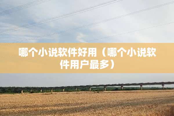 哪个小说软件好用（哪个小说软件用户最多）