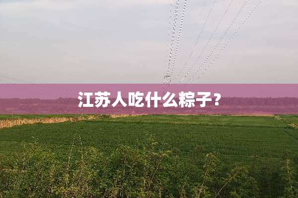 江苏人吃什么粽子？