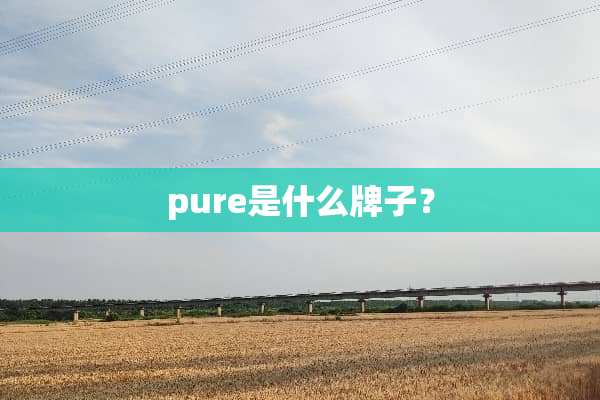 pure是什么牌子？
