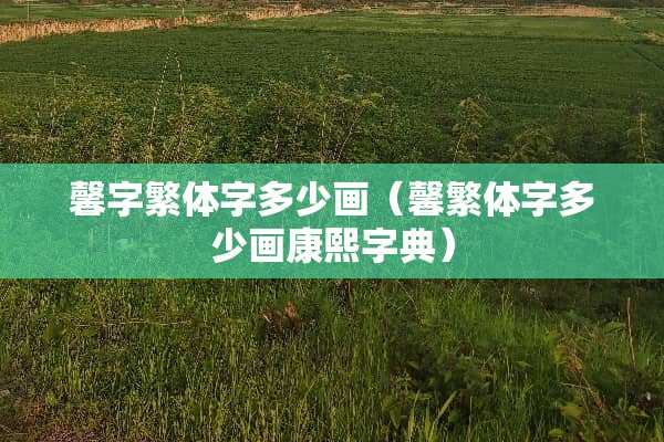 馨字繁体字多少画（馨繁体字多少画康熙字典）