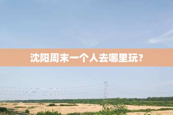 沈阳周末一个人去哪里玩？