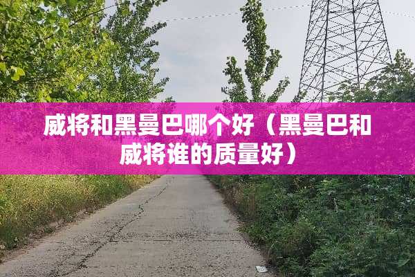 威将和黑曼巴哪个好（黑曼巴和威将谁的质量好）