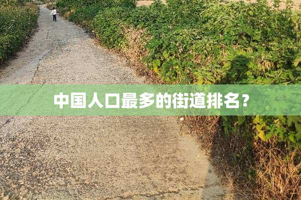 中国人口最多的街道排名？
