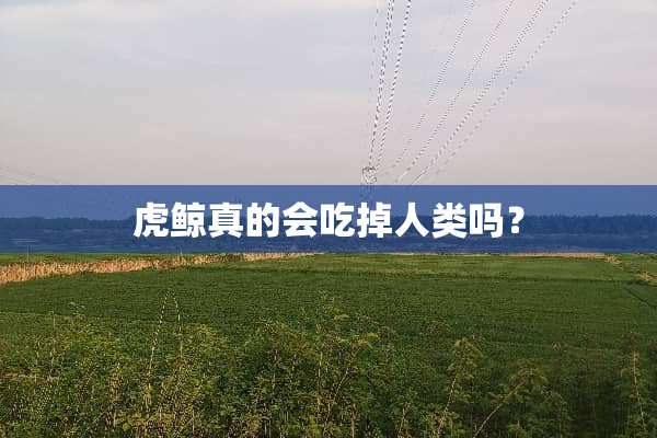 虎鲸真的会吃掉人类吗？