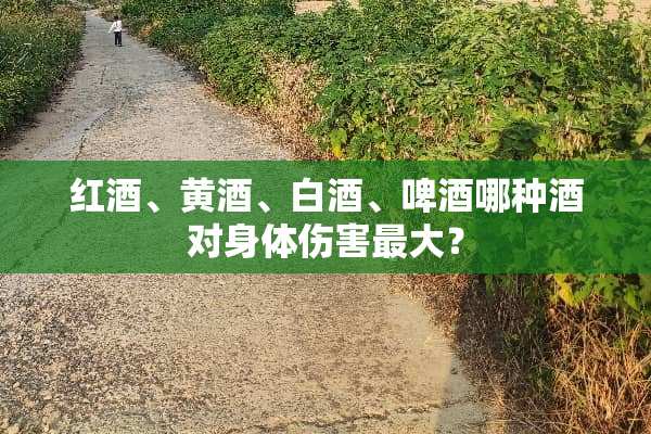 红酒、黄酒、白酒、啤酒哪种酒对身体伤害最大？