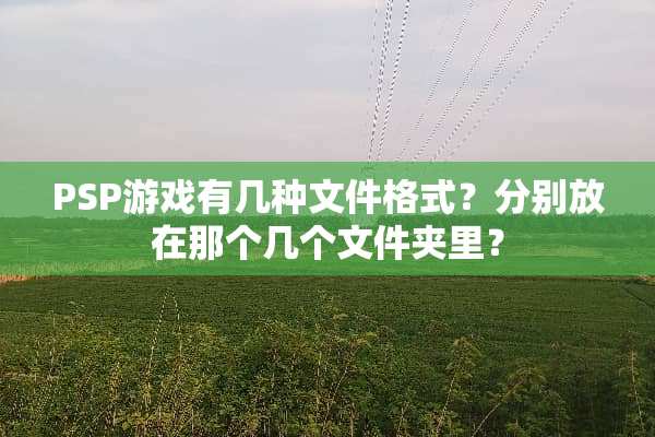 PSP游戏有几种文件格式？分别放在那个几个文件夹里？