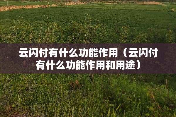 云闪付有什么功能作用（云闪付有什么功能作用和用途）