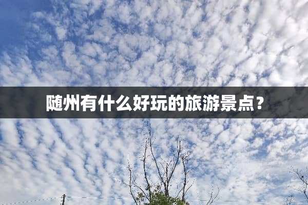 随州有什么好玩的旅游景点？