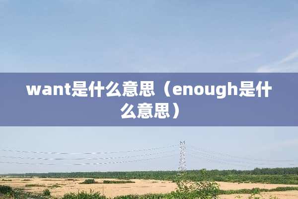 want是什么意思（enough是什么意思）