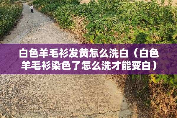 白色羊毛衫发黄怎么洗白（白色羊毛衫染色了怎么洗才能变白）
