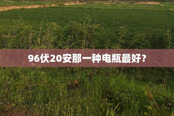 96伏20安那一种电瓶最好？