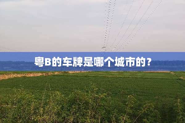 粤B的车牌是哪个城市的？