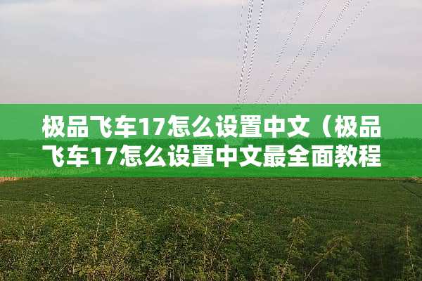 极品飞车17怎么设置中文（极品飞车17怎么设置中文最全面教程）