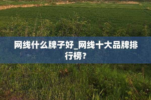 网线什么牌子好_网线十大品牌排行榜？