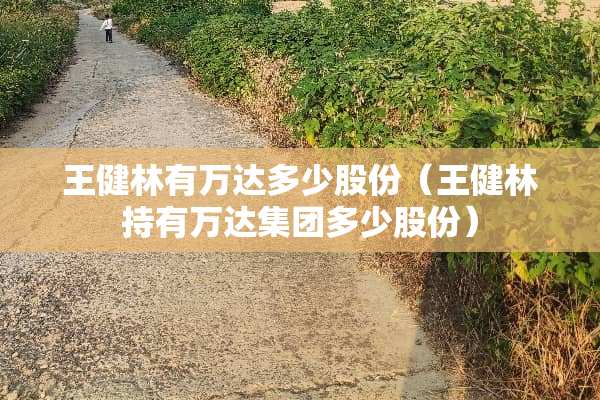 王健林有万达多少股份（王健林持有万达集团多少股份）