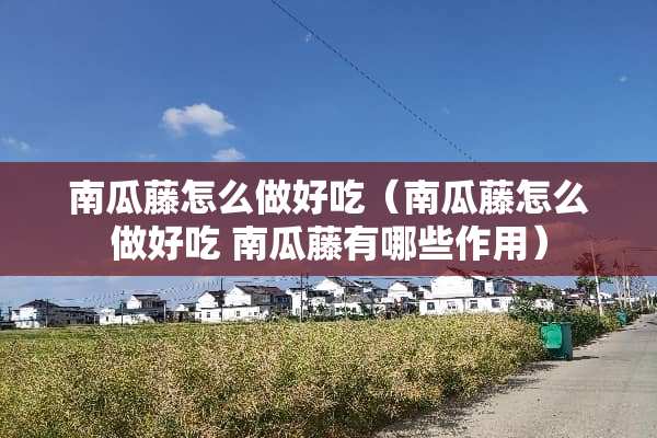 南瓜藤怎么做好吃（南瓜藤怎么做好吃 南瓜藤有哪些作用）