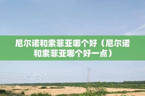 尼尔诺和索菲亚哪个好（尼尔诺和索菲亚哪个好一点）