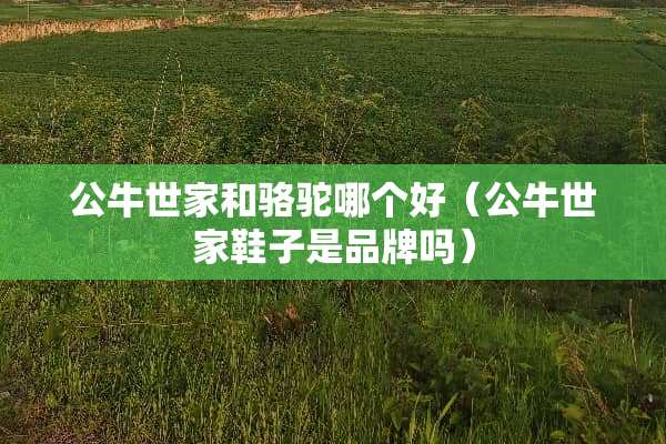 公牛世家和骆驼哪个好（公牛世家鞋子是品牌吗）