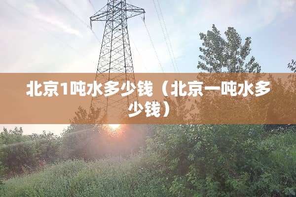 北京1吨水多少钱（北京一吨水多少钱）