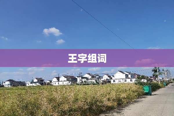 王字组词