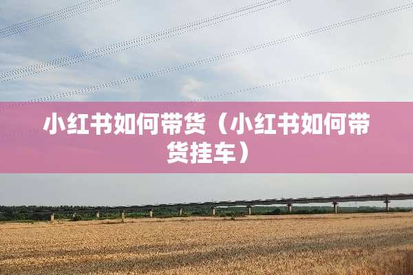 小红书如何带货（小红书如何带货挂车）