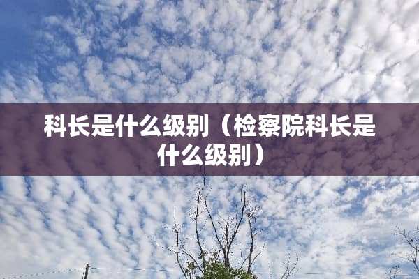 科长是什么级别（***科长是什么级别）