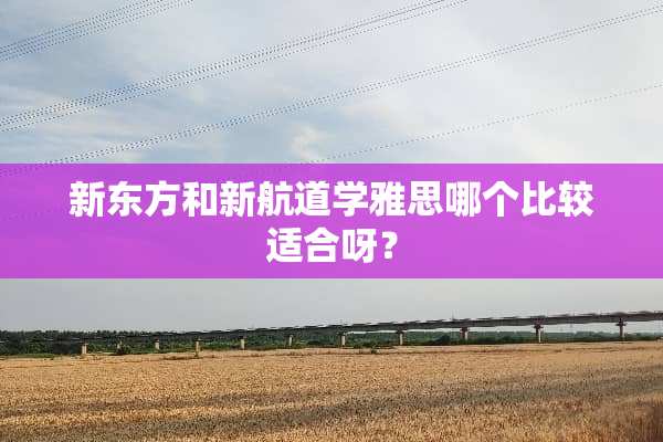 新东方和新航道学雅思哪个比较适合呀？