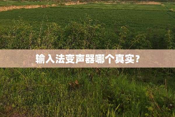 输入法***哪个真实？
