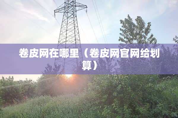 卷皮网在哪里（卷皮网官网给划算）