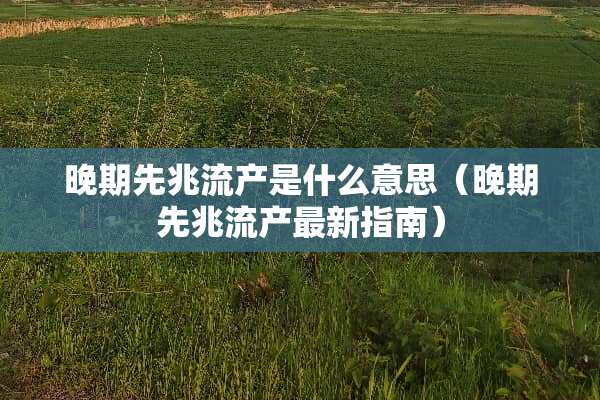 晚期先兆流产是什么意思（晚期先兆流产最新指南）