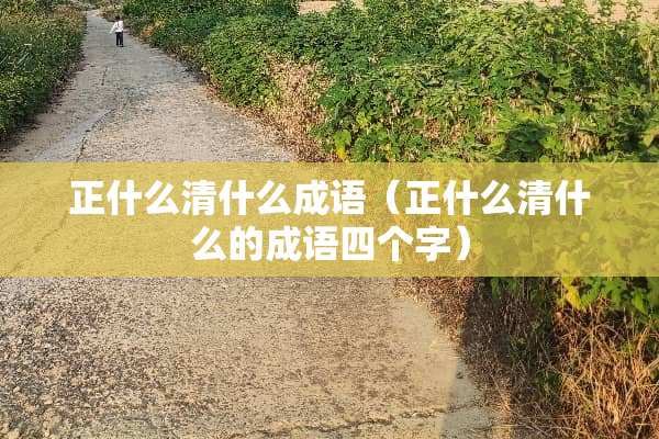 正什么清什么成语（正什么清什么的成语四个字）