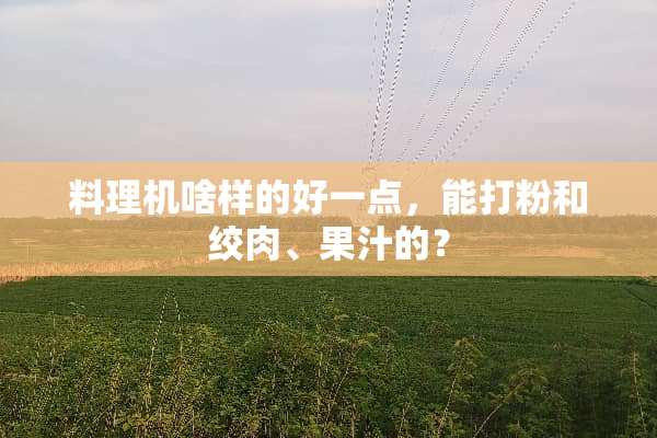 料理机啥样的好一点，能打粉和绞肉、果汁的？