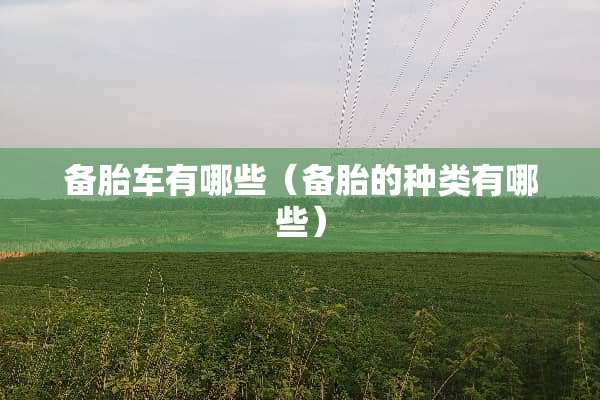 备胎车有哪些（备胎的种类有哪些）