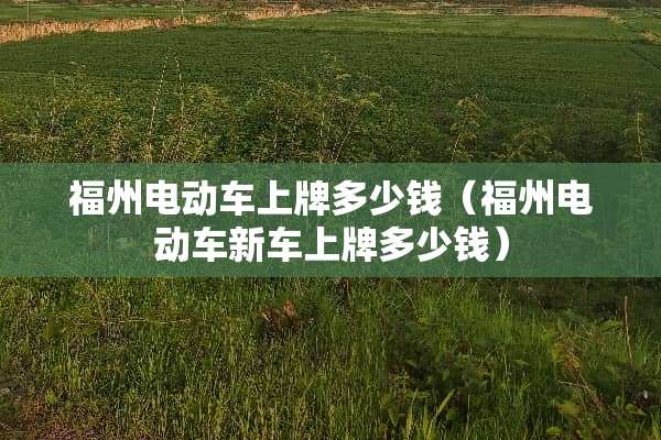 福州电动车上牌多少钱（福州电动车新车上牌多少钱）