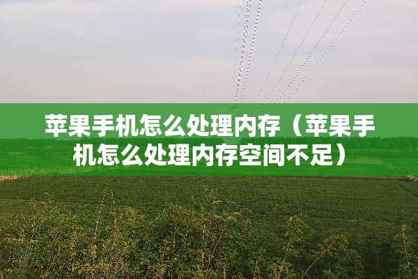 苹果手机怎么处理内存（苹果手机怎么处理内存空间不足）