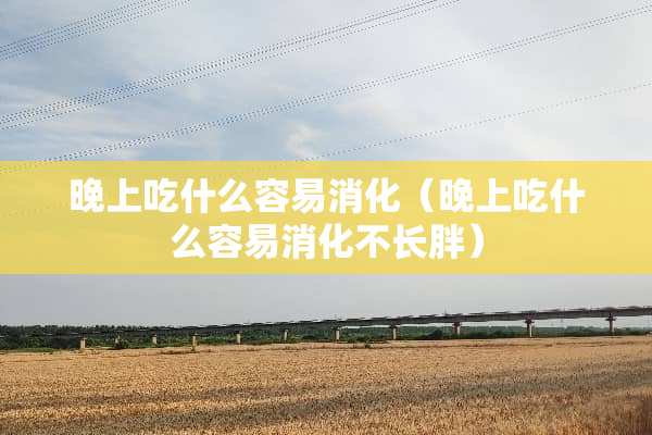 晚上吃什么容易消化（晚上吃什么容易消化不长胖）