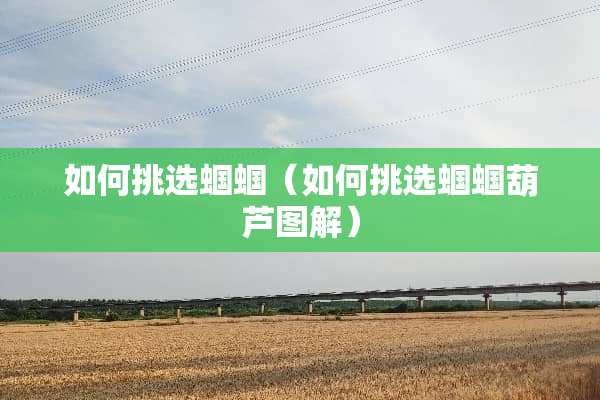 如何挑选蝈蝈（如何挑选蝈蝈葫芦图解）
